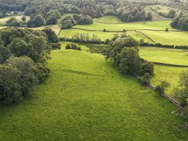 Green Yew - Lake District - 1151089 - thumbnail photo 65