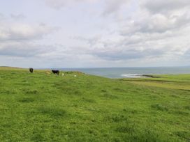 A grassy landscape with cows grazing near the ocean at Doonalton House, Dromore West, County Sligo