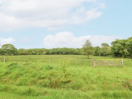 Tyddyn Felin Barn - North Wales - 1151266 - thumbnail photo 43