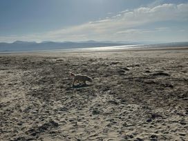 Blackrock Gem - North Wales - 1151332 - thumbnail photo 53