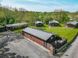 Several wooden lodges with grey roofs on a grassy area surrounded by trees and a paved road at The Roe in Llanerch Park near St Asaph