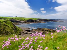 Mary's Cottage - County Sligo - 1151518 - thumbnail photo 20