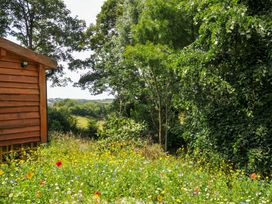 A garden with a wooden cabin and wildflowers at Owl Lodge in Menheniot