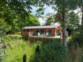 A wooden house with a deck surrounded by trees at Owl Lodge in Menheniot