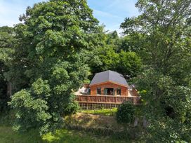 A house surrounded by trees at Owl Lodge Menheniot