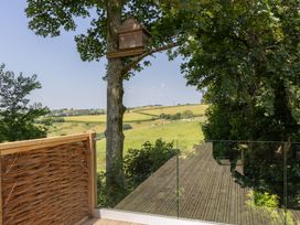 A birdhouse on a tree with a view of grassland at Owl Lodge in Menheniot
