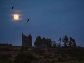 A tower under a full moon with trees and birds at Owl Lodge in Menheniot