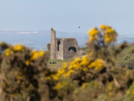 A stone ruin in a field with bushes at Owl Lodge in Menheniot