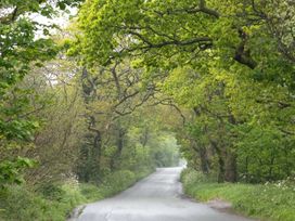 A wooded road surrounded by trees at Owl Lodge in Menheniot