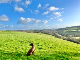 A dog sitting on grass with hills in the background at Owl Lodge Menheniot