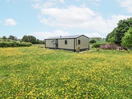 A field of yellow flowers with a small rectangular building and trees in the background at The Hoot in Great Finborough near Stowmarket