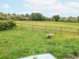 A grassy field with yellow flowers and a wooden fence with trees in the background at The Hoot in Great Finborough near Stowmarket
