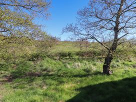 A landscape with trees and grass at Encil Gyfrinfa, Gwynus, near Llithfaen