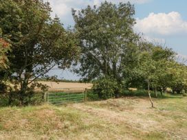 A view of trees and a gate leading to a field at Tir Mawr in Llanfairpwllgwyngyll