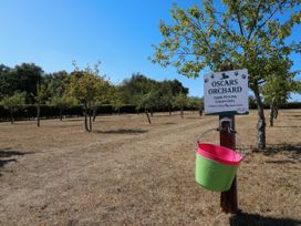 An orchard sign with apple trees and a bucket at Oscars Orchard in St. Osyth