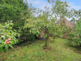 Coldharbour Farm Bungalow Annexe - Dorset - 1152566 - thumbnail photo 22