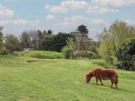 Burr 1 Shepherds Hut - Devon - 1152605 - thumbnail photo 28