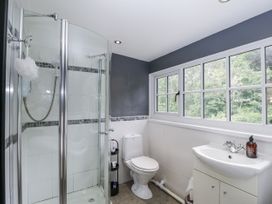 A bathroom with a shower, toilet and sink at Woods Cottage in Kingcoed near Raglan