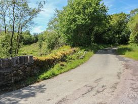 A road with trees and a stone wall at The Skating Rock in Bunane near Kenmare, County Kerry