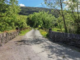 A road lined with trees and stone walls at The Skating Rock in Bunane near Kenmare, County Kerry