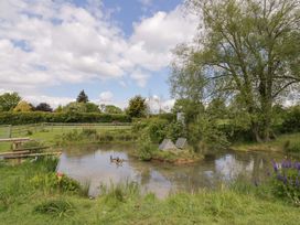 A pond with ducks and surrounding grass and trees at The Barn in Astwood Bank