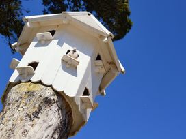 A white wooden birdhouse mounted on a tree trunk with a pigeon perched at the entrance under a blue sky