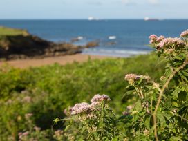 A coastal scene with pink flowers and green plants in the foreground a rocky shore and the sea in the background at Caravan 7 in Plymouth