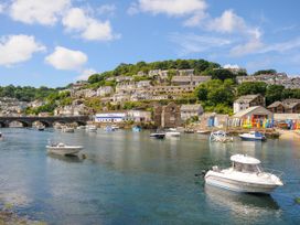 Sea Pinks - Cornwall - 1154480 - thumbnail photo 18