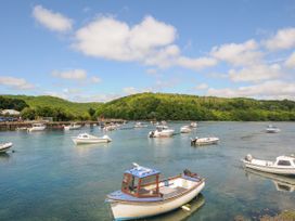 Sea Pinks - Cornwall - 1154480 - thumbnail photo 19