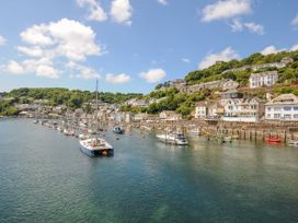 Sea Pinks - Cornwall - 1154480 - thumbnail photo 20