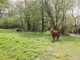 Burr 2 Shepherds Hut - Devon - 1154502 - thumbnail photo 28