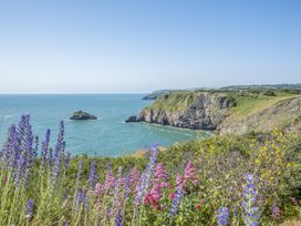 A coastal view with cliffs and wildflowers at Lodge 63 at Riviera Bay Coastal Retreat in Brixham