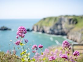 Flowers with a view of the ocean and cliffs at Lodge 63 at Riviera Bay Coastal Retreat in Brixham