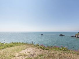A view of the ocean from a cliff with grass and flowers at Chalet 32 at Landscove Holiday Park Brixham
