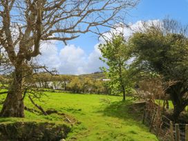 Calvey's Cottage - Westport & County Mayo - 1154962 - thumbnail photo 19