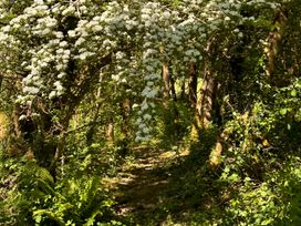 Bedwen - Mid Wales - 1155156 - thumbnail photo 35