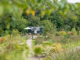 A garden with a cabin and pathway at Bedwen Aberaeron