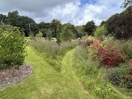 A garden with a winding path and various plants at Bedwen in Aberaeron