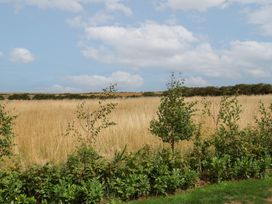 A landscape view with grass and trees at Sea Roke in Filey