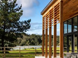 Silver Birch - Devon - 1155433 - thumbnail photo 2