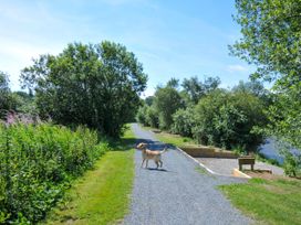 A path with a dog and trees along the river at Aspen in Dolton