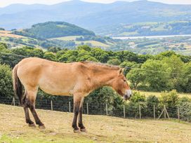 A brown horse standing in a fenced field with hills and trees in the background at Rhos Retreat No 7 in Rhos On Sea