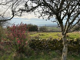 A landscape with a flowering plant and stone wall at Tan Y Merddyn in Ceunant near Llanrug