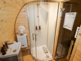 A bathroom with a shower enclosure a sink and a sauna door at Moel Arthur in Bryniau Clwyd near Denbigh