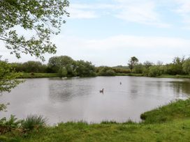 Goldfinch  at Moorhead Country Holidays - Devon - 1156689 - thumbnail photo 37