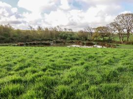 A landscape featuring a pond surrounded by grass and trees at Lake View in Kestle Mill near Quintrell Downs