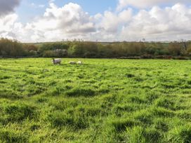 A field with sheep grazing at Lake View in Kestle Mill near Quintrell Downs