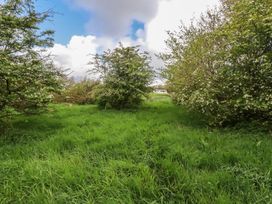 A pathway through grass and trees at Lake View Kestle Mill near Quintrell Downs