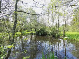 A small pond surrounded by trees and plants with grass in the background at Serenity House The Retreat in Llangammarch Wells near Llanwrtyd Wells