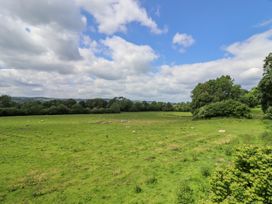 Valley Lodge 4 - North Wales Eco Lodges - North Wales - 1156968 - thumbnail photo 17